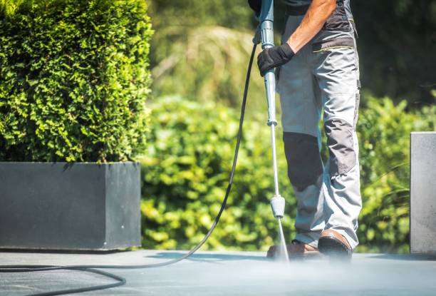 Best Roof Washing  in Waite Park, MN